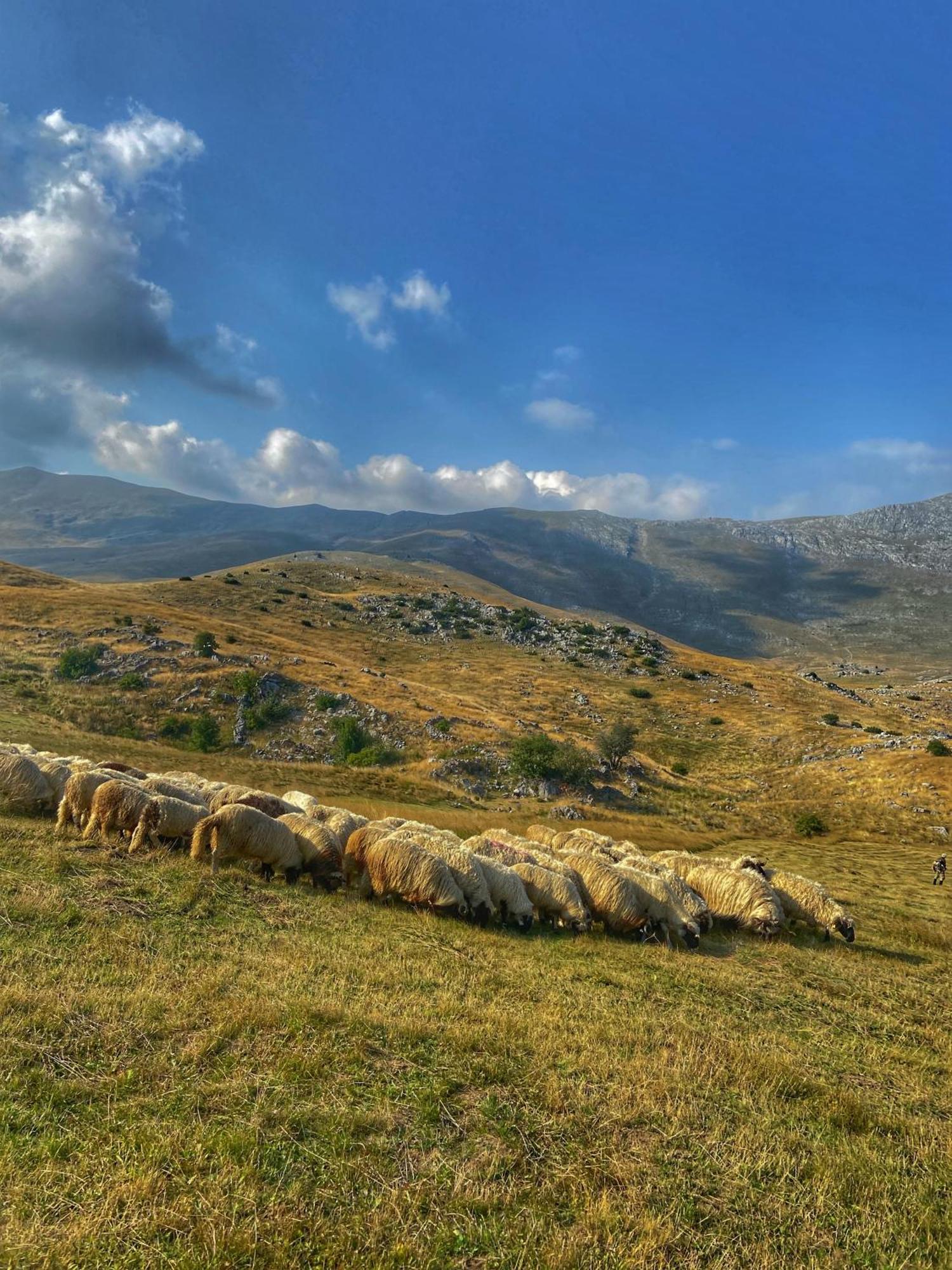 Konak Umoljani Esterno foto